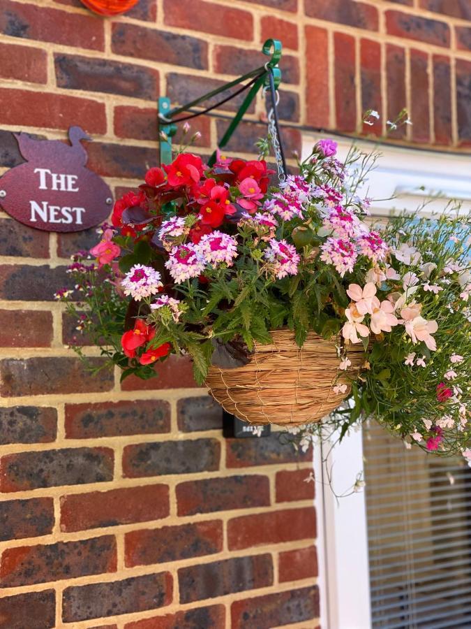 The Nest Kingston Apartman Winterborne Kingston Kültér fotó
